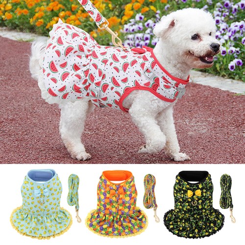 Cute girl dog harness dress - dog,