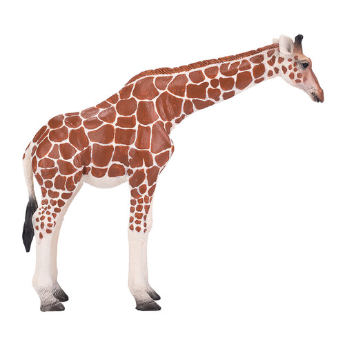 Giraffe female african wild - african,