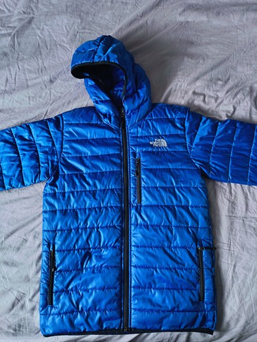 The north face men down - the, men's