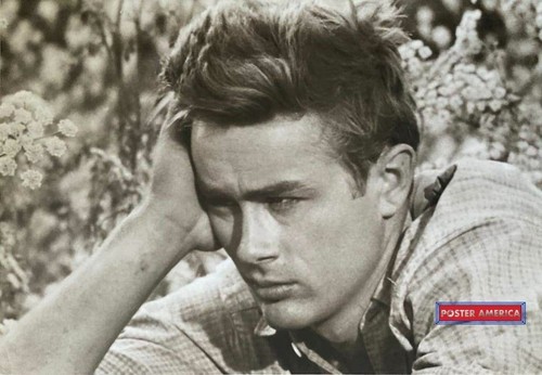 663163 james dean - james,