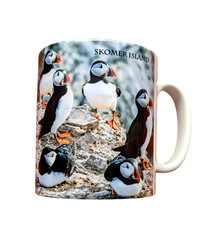 Skomer Island Puffin Ceramic