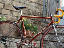  Wilier Triestina Ramata Team