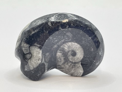 Small devonian period - small, 380
