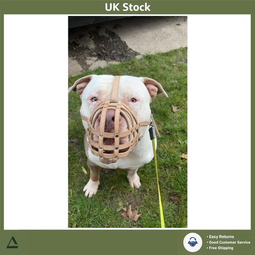 Genuine leather dog - muzzle, for
