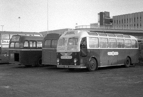 Royal blue 2267 hire to - blue, on