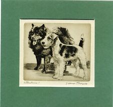 ~ Fox Terrier & Schipperke ~ Print by Diana Thorne Genuine Vintage 1935