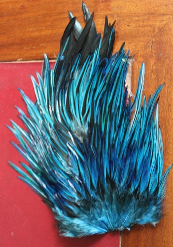 Fly tying dyed blue - fly,