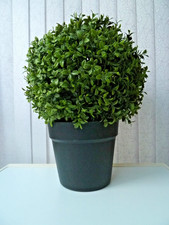 Large artificial boxwood - artificial,