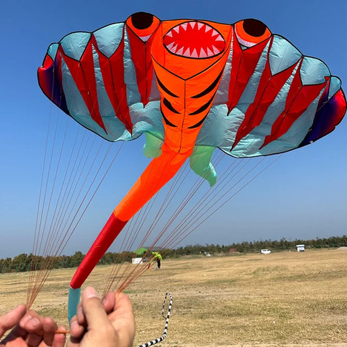 Soft ray kite - 3d,