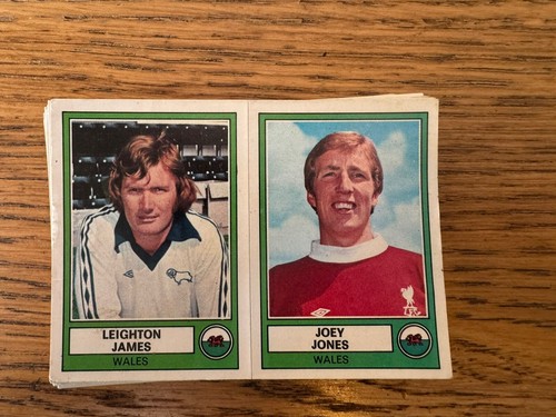 Panini euro football blue - football, 78