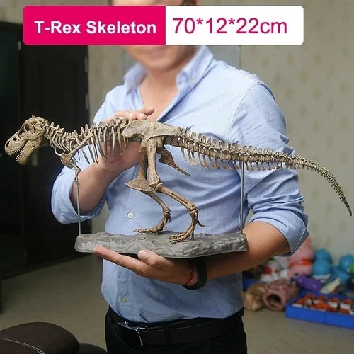 Rex dinosaur skeleton model - t-rex,
