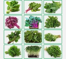 Bangladeshi/Indian Leafy