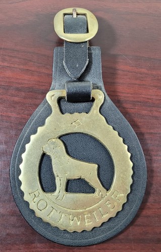 Brass horse saddle harness - horse,
