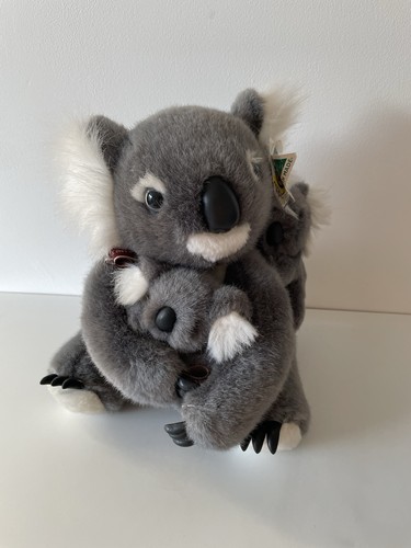 Natives koala bear - natives, babies