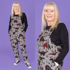 Grey Adventure Dinosaur