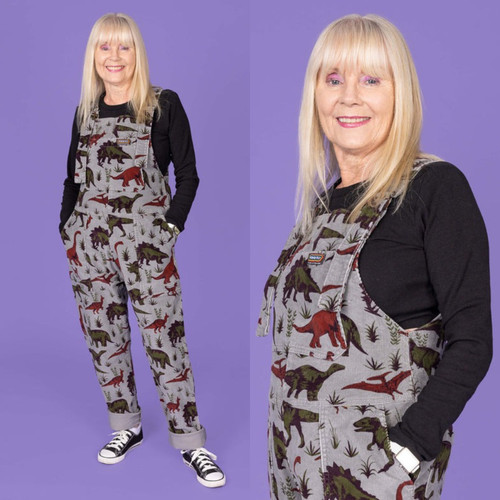 Grey adventure dinosaur - grey,