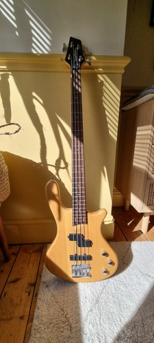 Washburn taurus t14 - washburn, electric