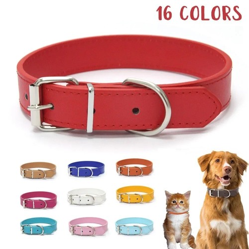 Vibrant leather dog - dog, collar