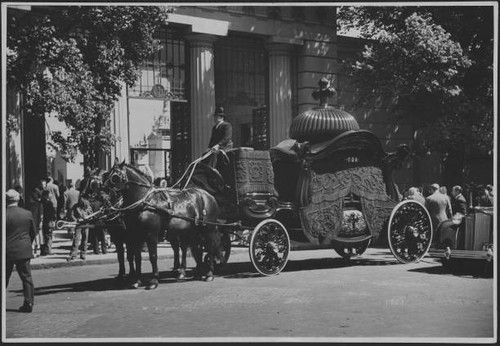 Horse drawn funeral - , carriage