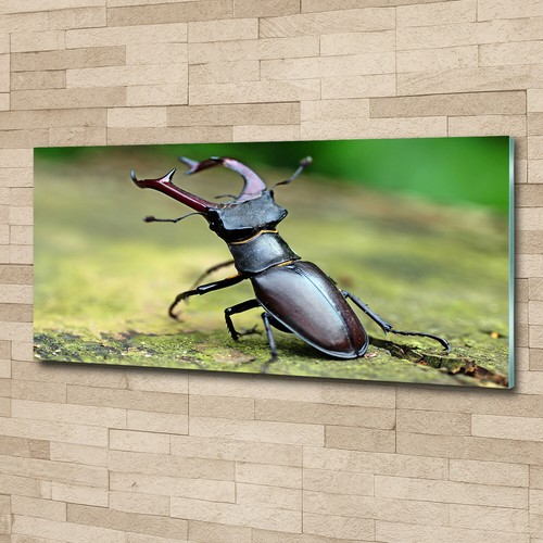 Glass print wall - wall, image