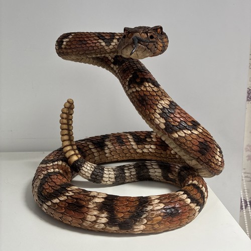 Rattle snake hand - snake,