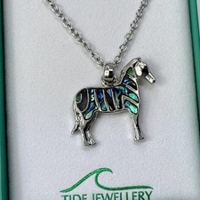 Zebra Paua Shell Necklace