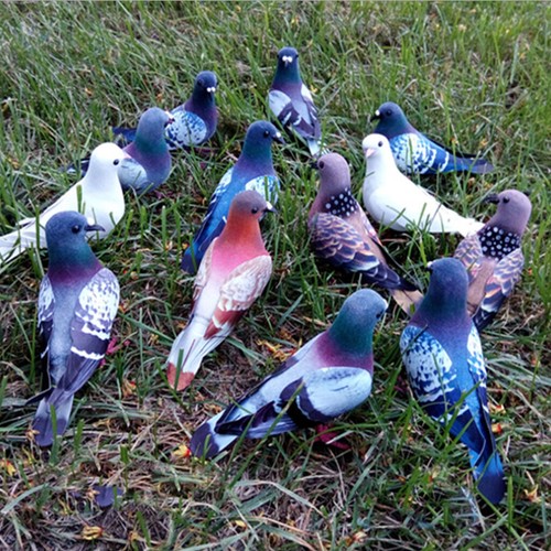 Realistic pigeon artificial - pigeon,