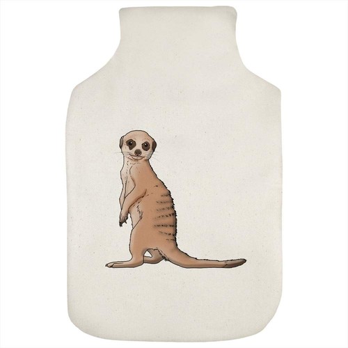 Meerkat pup hot - pup', water