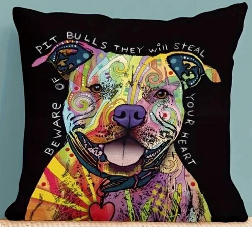 Pit bull dog - pit, dean