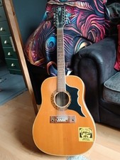 E-ROS Mod 612 Nevada 12 String