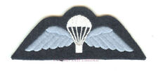 NEW CLOTH RAF PARA WINGS / 2
