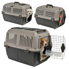 Iata approved dog - approved,