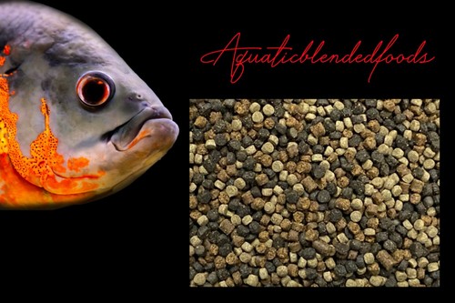 Abf sinking veggie - abf, veggie/