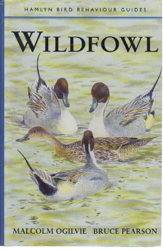 Wildfowl hamlyn bird - (hamlyn,