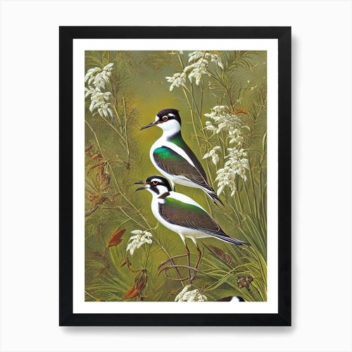 Lapwing haeckel style - lapwing,