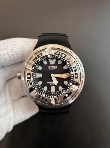 Citizen ecozilla professional - citizen,