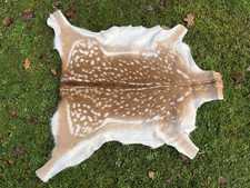 Nice New Real Summer Fallow