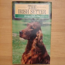 The Irish Setter (Popular