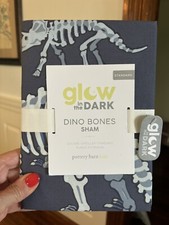 Disney pottery barn pillow sham school Dinosaur Bones holiday gift space star ,