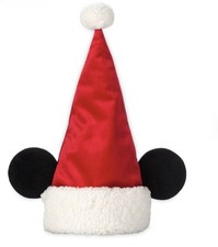 Adult One Size Disney Store