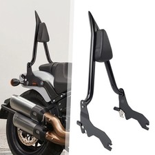 Removable Sissy Bar Backrest