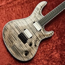 Mayones Regius Core V24 6
