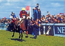 Red Rum Horse Racing Legend