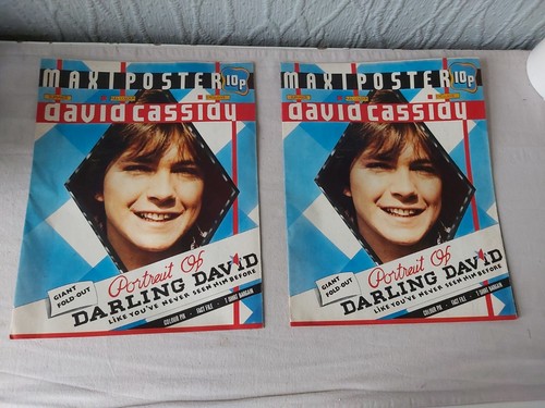 David cassidy 1970s pin - 1970s,