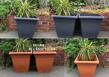 Pack of 2 Large 50cm Square