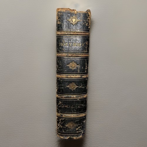 The holy bible ornamented - holy,