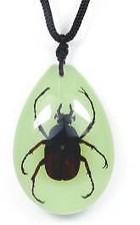 Real Insect Glow in Dark Tear
