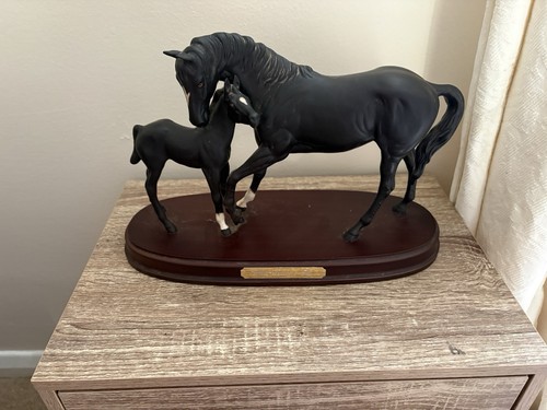 Black beauty and foal - beauty,