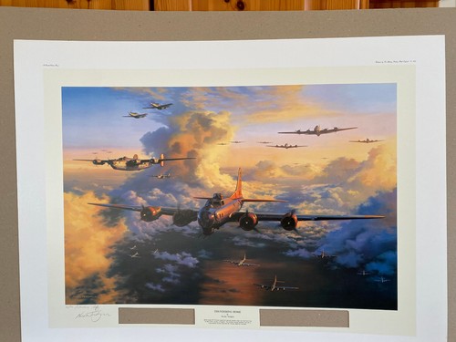Nicolas trudgian flying - nicolas,
