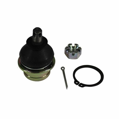 Lower bottom ball joint - bottom,
